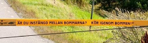 saknar helt e-tjänster Kommunerna har stort behov av att