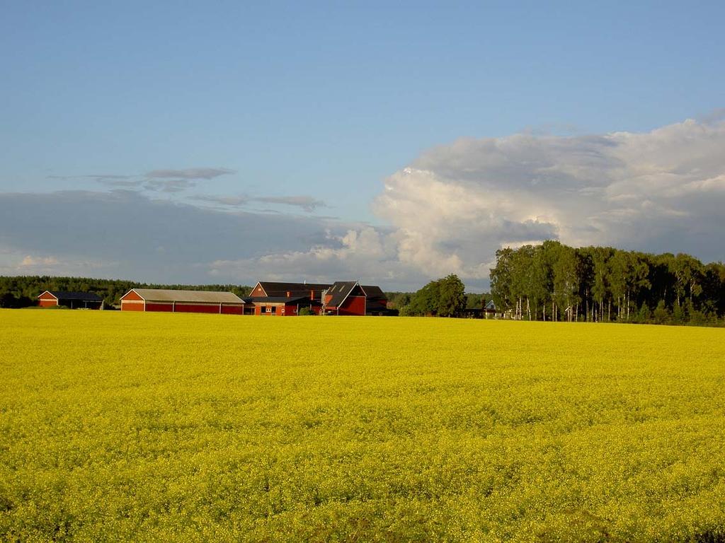 Visionen En kommun som inte är som alla andra