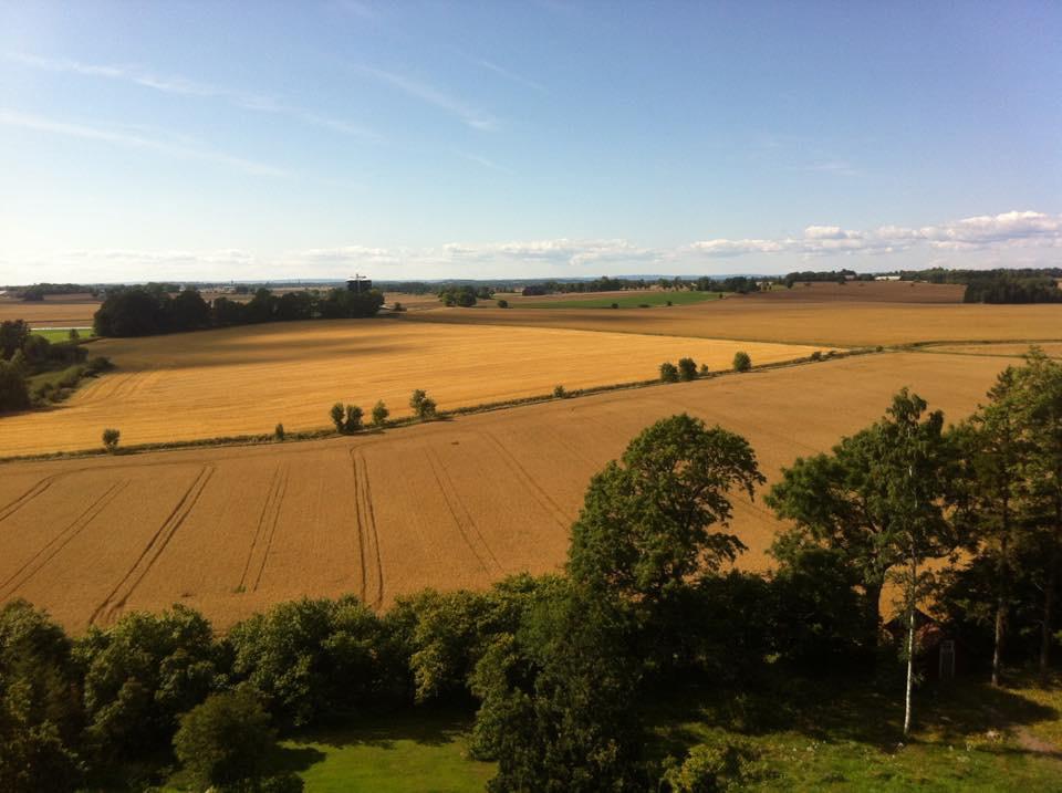 Utökning av åkerareal - lantbruksföretagens största utmaning? Increasing landholdings - A big challenge for farmers?