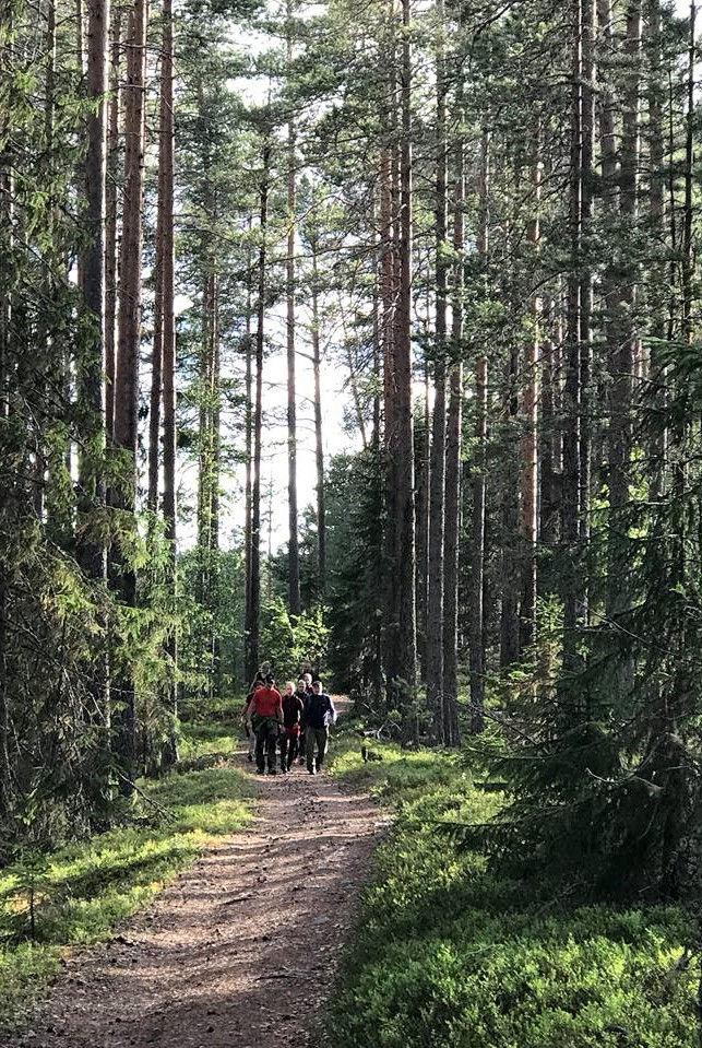 Vi får även se en del natur genom bilrutan denna gång vi har ju mycket skog å vacker natur norrut från Svågadalen. Hör gärna av er ni som bor efter väg så kan ni haka på eftersom vi kommer uppöver.