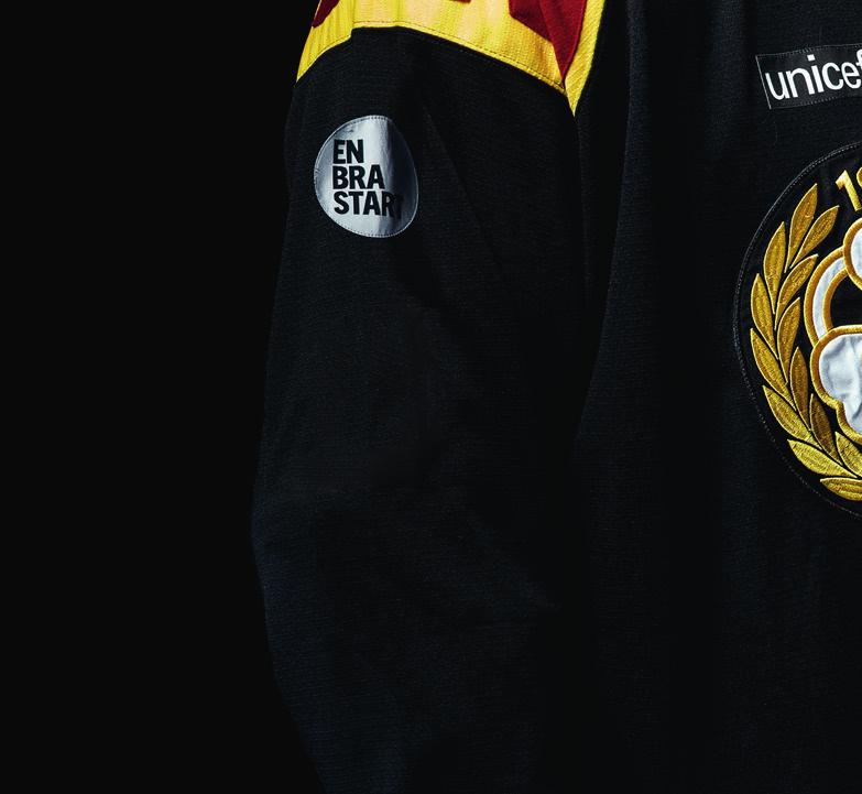 Verksamhetsberättelse Brynäs IF