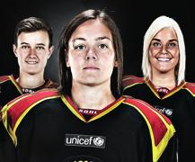 Nu lyfter vi Brynäs inom alla områden Bästa hockeyvänner och Brynäsare, vi har nu ytterligare en säsong bakom oss och vi känner nog alla att den inte riktigt föll ut så som vi önskat.