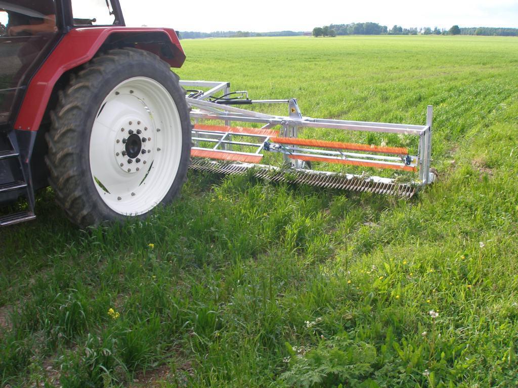 Förhindra fröspridning Klippa av blomstänglar för att förhindra fröspridning (tistelskärare/combcut, puts?