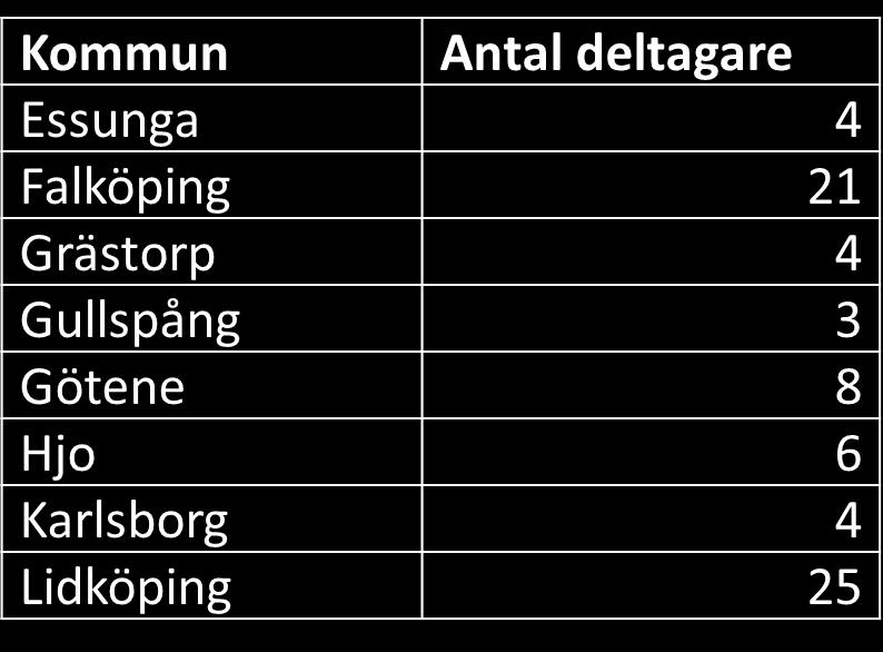 Huvudsakliga