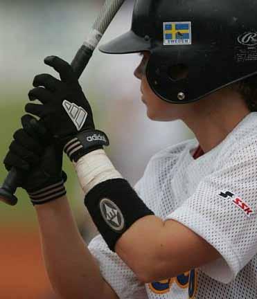 ORDFÖRANDEN HAR ORDET 5 Inte blev det sämre av att våra ungdomar spelade på ett föredömligt sätt och vann över Litauen i finalen, bärgade segern till Sverige och avancerade till spel 2011 i A-poolen.