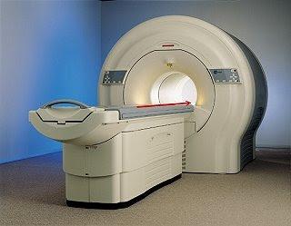 Prostate