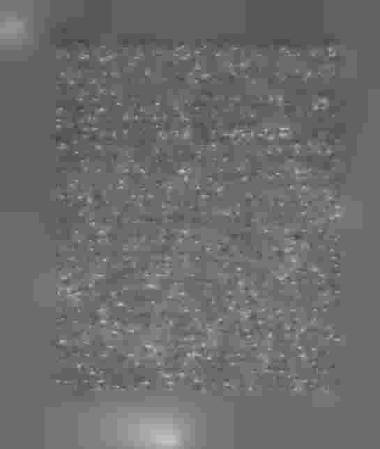 14 nu blifvit lemnad, till Konungens Befallningshafvande inkommit, hade Konungens Befallningshafvande genom resolution den 1 December 1880 förklarat, på sätt här ofvan nämndes, att Petterssons