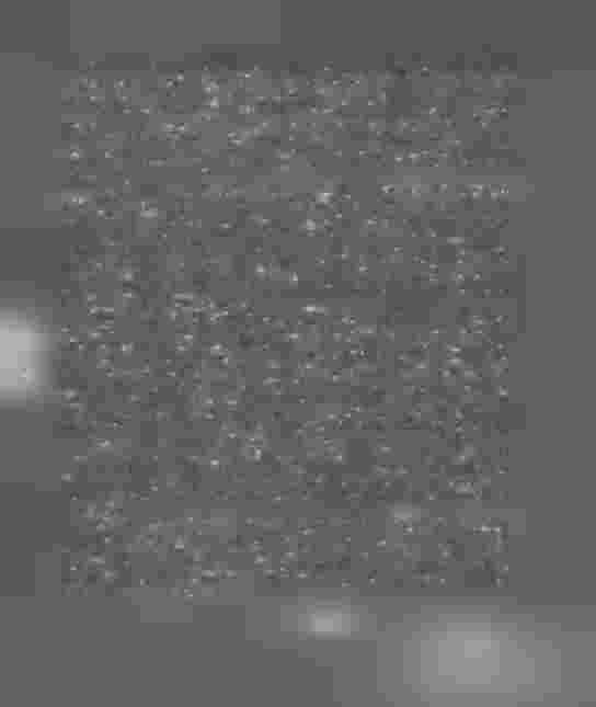 detsamma företogs, dervid den förlorade väskan hittades mellan fotsacken och fotsacksfodret.