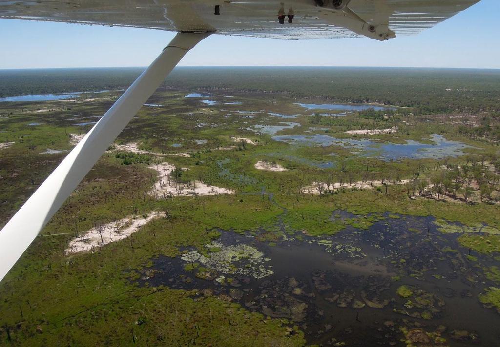 DAG-TILL-DAG PROGRAM Dag 1: Resan startar på Mauns flygplats, Botswana. Därifrån flyger vi med litet plan rätt in i Okavangodeltat.