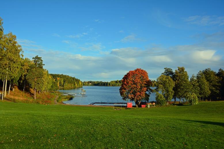 Styrelsens sammanträdesdagar: 2018: 3 april, 7 maj, 4 juni, 6 aug, 3 sept, 1 okt, 5 nov, 3 dec. 2019: 14 jan, 4 febr, 18 febr (årsmöte), 20 febr (konst), 4 mars.