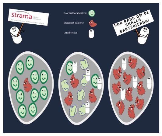 Tips från coachen Lita på ditt immunförsvar Spegla infektionsläget Tydliga riktlinjer om när söka igen Tips från coachen En antibiotikakur slår ut dina nyttiga bakterier och ger plats åt resistenta