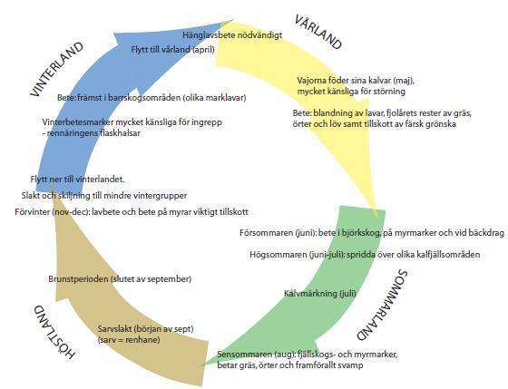 2. Bakgrund Rennäring och järnväg 2.1 Rennäring Rennäringen är en arealkrävande, omfattande form av markutnyttjande som följer en bestämd årstidsrytm.