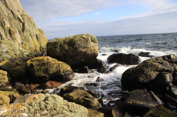 Arran Costal Way, Brodick Brodick, 6 nätter 3(6) kusten som bitvis är lättvandrad och bitvis stenig.