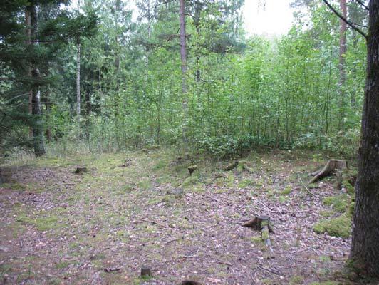 svagt sluttande övergång till lägre liggande mark (vilken fortsätter ut i kraftledningsgatan och föreliggande förundersökningsområde).