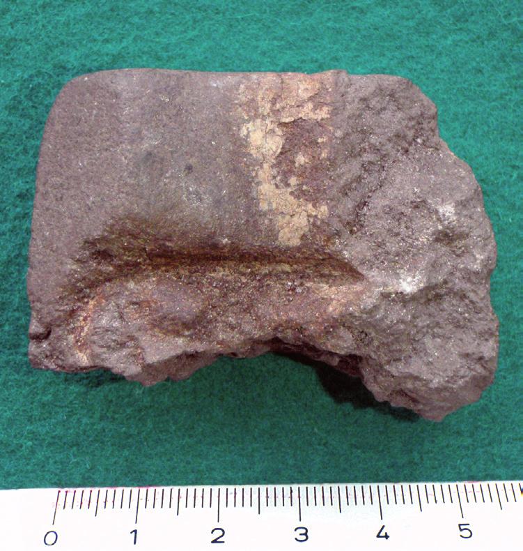 ändå jämförelsevis varierat, med bl.a. hushållskeramik och enkla flintartefakter samt mal- och slipstenar.