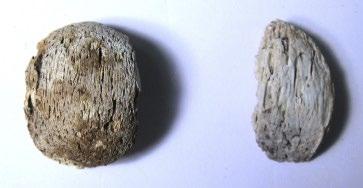 F1101, fragment till höger från F1669) Totalt utgjordes fyndet av 54 st. delar/fragment.