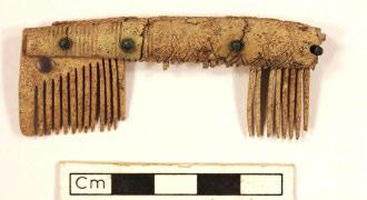 F8_a_fk F8_b_ek Del av sammansatt enkelkam; en tandskiva med avbrutna tänder. Delvis svartbränd. Trasig i 18 delar/fragment, varav två lösa nitar, alla med passning.