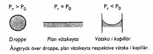 Kelvins ekvation Stighöjden är oberoende av kapillärens form