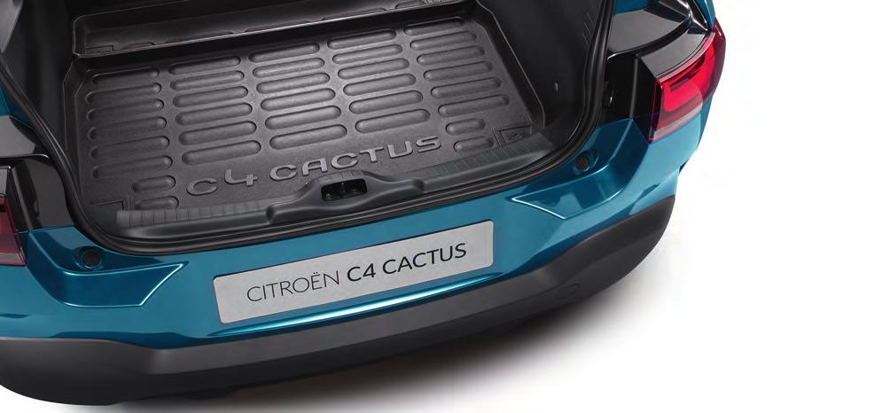 5 AC_C4 CACTUS_207_ACC_6742680.