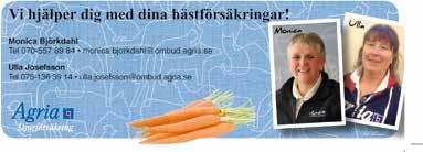 Sjöberg i stallet. Från Marcus Lindgrens stall kommer också den i tre starter obesegrade Brosa Am i V- och även han har varit ifrån tävlandet ett tag.