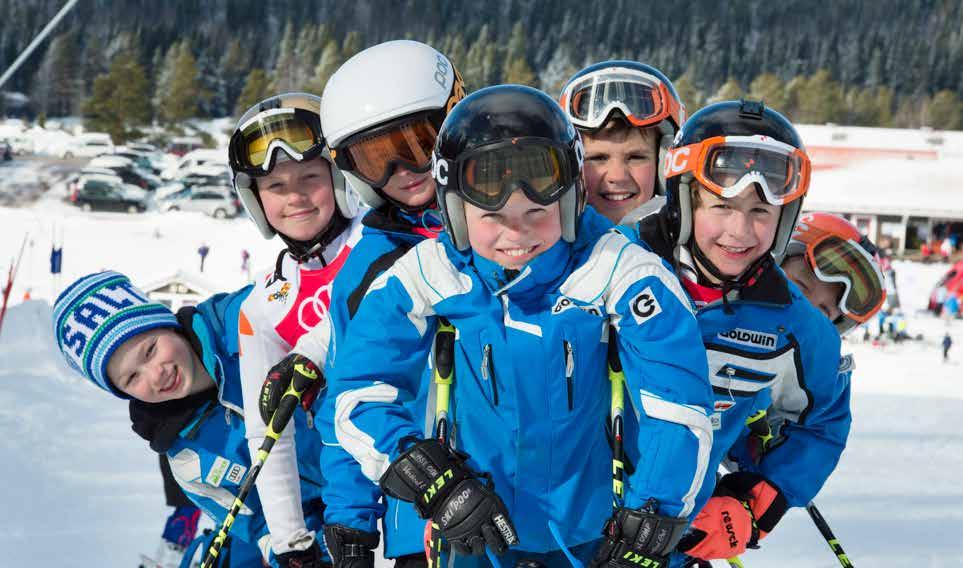 forskning och beprövad erfarenhet i den Blågula vägen för att vägleda tränare, aktiva och föräldrar. I DEN FÖRSTA DELEN av Blågula vägen finner du delar som sedan utgör grunden till den andra delen.