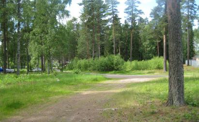 matik och frågorna har utretts i förhållande till ett större område än själva planområdet.