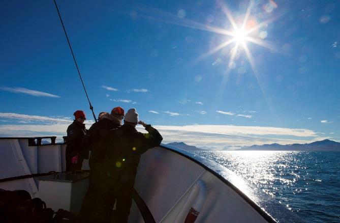 Har vi riktig tur får vi kanske även se kungen av Arktis, nämligen isbjörn! Framför glaciären kommer det att serveras varm mat från grillen, medan vi upplever kalvningen från glaciären.