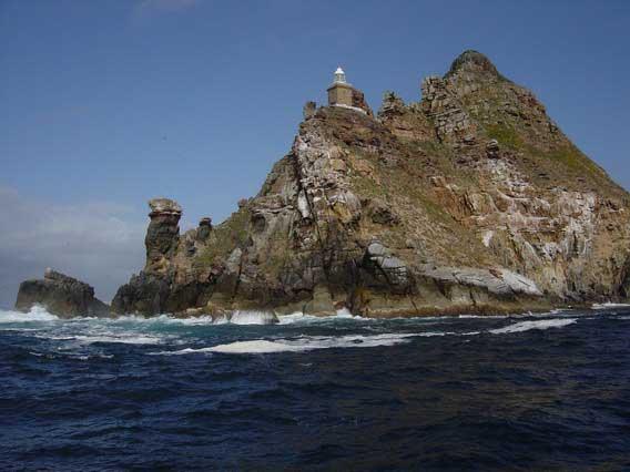 Dagen avslutades med ett besök på Cape of Good Hope där ett av de mest frekventa språken denna dag var svenska.