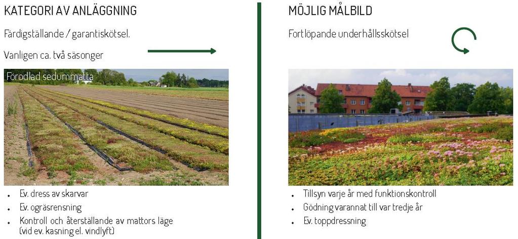 5. Drift och underhåll Tillsyn och skötsel av vegetation Skötsel och underhåll av bevattningssystem Tillsyns- och