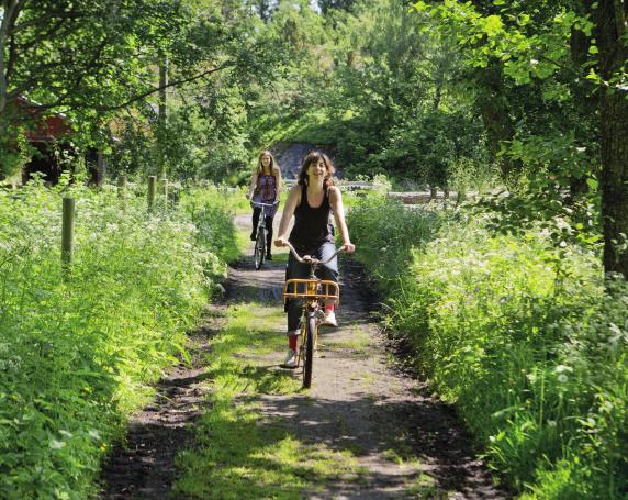 Varför ett gång- och cykelprogram? Behovet av cykelvägar är stort utmed de allmänna vägarna i Norrtälje kommun. Flera av de allmänna vägarna i kommunen anlades vid mitten av 1900-talet.