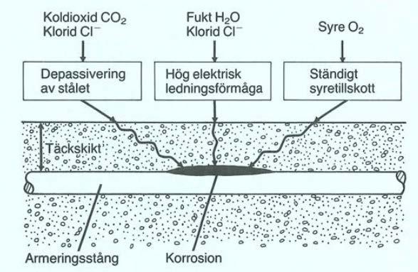 3.1.1.1.2 Armeringskorrosion Armeringen i betongen kan utsättas för armeringskorrosion vilket innebär att armeringen fräts sönder och det leder till nedsatt beständighet i betongen.