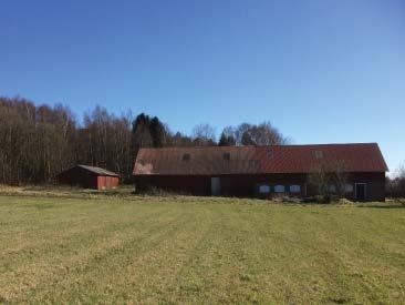 inom fastigheten Tölö 8:14. Planens syfte och huvuddrag Planprogrammets syfte är att pröva möjligheten att bygga ett mindre bostadsområde med mestadels hyresrätter inom fastigheten Tölö 8:14.