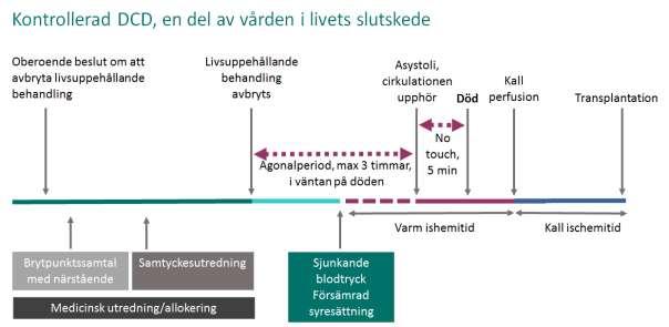 Bakgrund Donation efter cirkulationsstillestånd- DCD I Sverige har allmänheten generellt sett en mycket positiv inställning till donation av organ och vävnader.