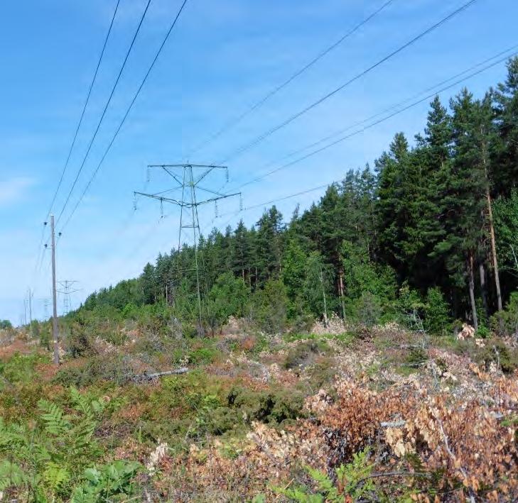 Figur 9. Befintlig 70 kv ledning parallellt med 20 kv ledning i sektion 2.