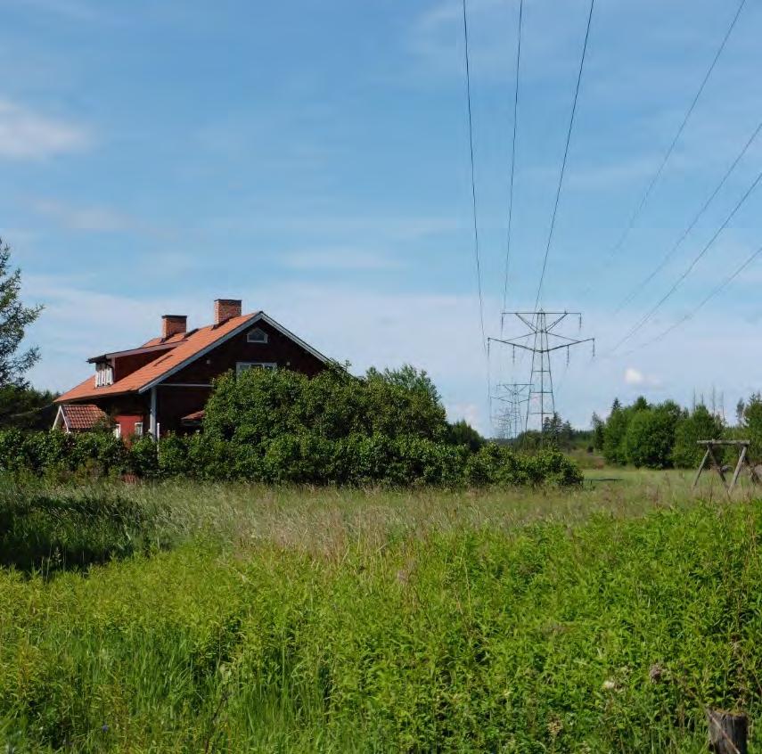 Figur 12. Vattmyren i sektion 4. Sektion 5 Sektion 5 omfattar sträckan genom Gimo tätort, med början ca 400 meter väster om bebyggelse i Gimo, till öster om Olandsån.