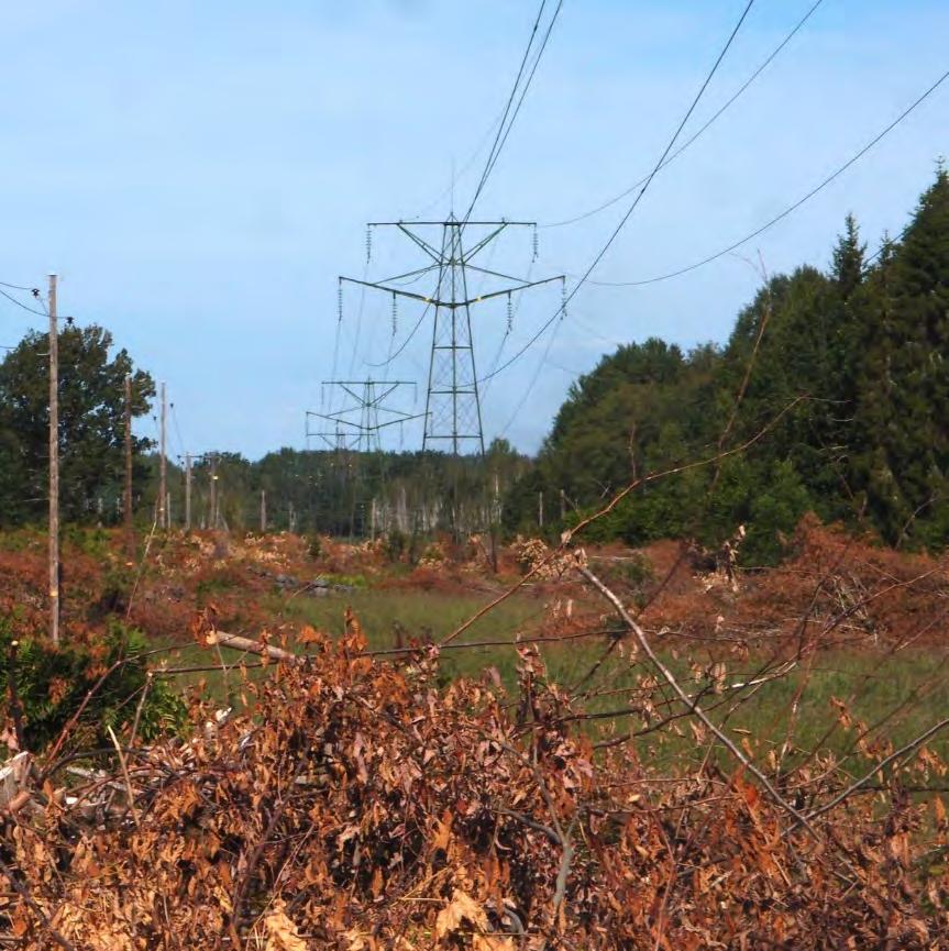 Miljökonsekvenser Den nya ledningen kommer att byggas med portalstolpe i trä med en normal stolphöjd av ca 15-20 meter och blir till stor del skymd av skogsmark.