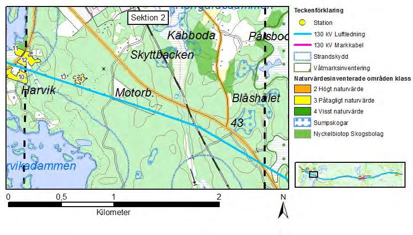Figur 34. Naturmiljö i sektion 2. Miljökonsekvenser Naturvärdena påverkas endast marginellt vid det regelbundna underhållet av ledningsgatan.