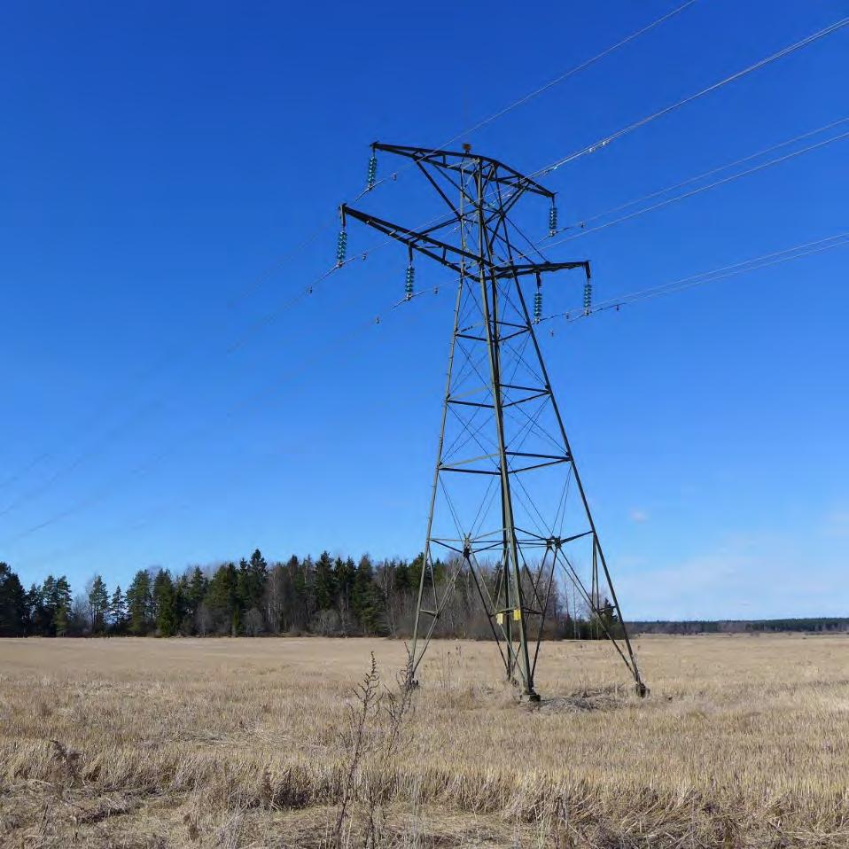 undvika att färgflagor riskerar att spridas i naturen. Fundamenten för stålstolparna består av betong.