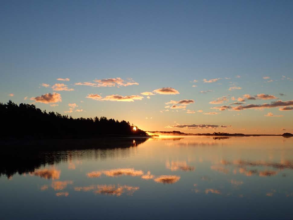 Sveriges lantbruksuniversitet,