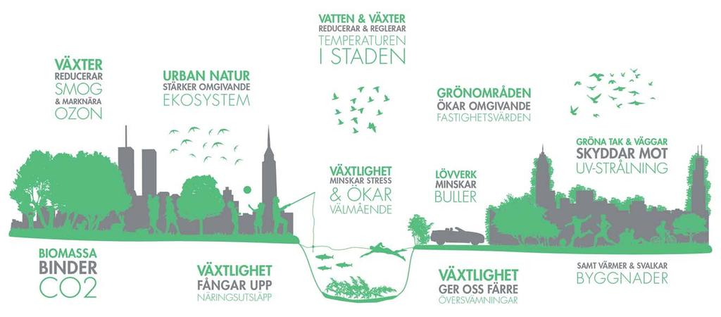 GRÖNYTEFAKTOR SUNDBYBERGS STAD Illustration: C/O-City. Ekosystemtjänster Att arbeta aktivt med ekosystemtjänster i planering och byggande ger en hållbarare stad.