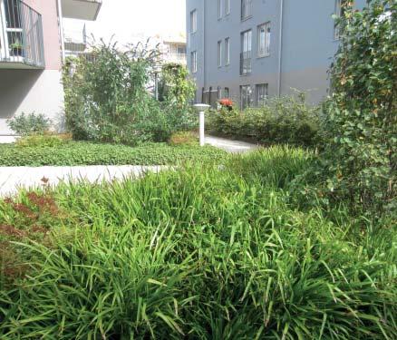 GRÖNYTEFAKTOR SUNDBYBERGS STAD Generella riktlinjer för planering av utemiljö på kvartersmark i Sundbyberg - underlag för GYF Sociala och vackra grönskande utemiljöer En attraktiv och väl gestaltad