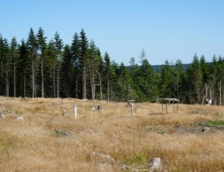 Sännen. Öppning i skogen ca 1 x 5 m. 9 m.ö.h.