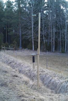 Liten öppen yta med gräs- och slyvegetation omgiven av skog.