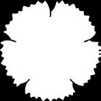 929-657 469 Socialnämnden: -606 177-619 035-621 023 Valnämnden: -420-4 -4 Revisionen: -1 101-1 103-1 101 27.