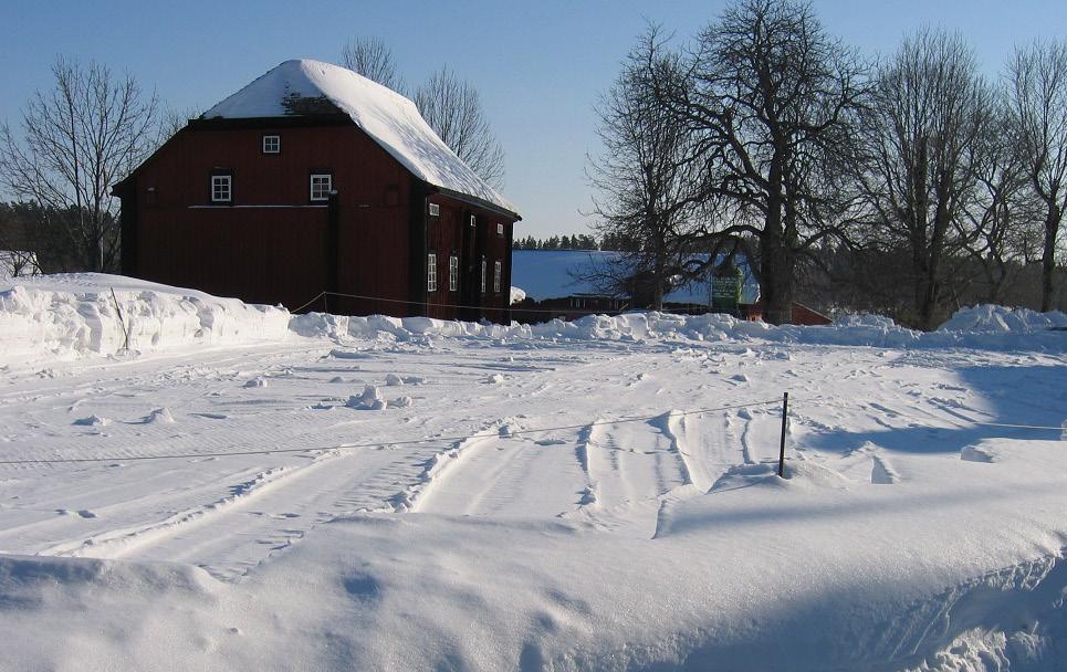 Det som får mig att kämpa vidare är drömmen om det lyckade slaget, den perfekta rundan tillsammans med kamrater i en miljö som slår det mesta. Detta är varför jag håller på.