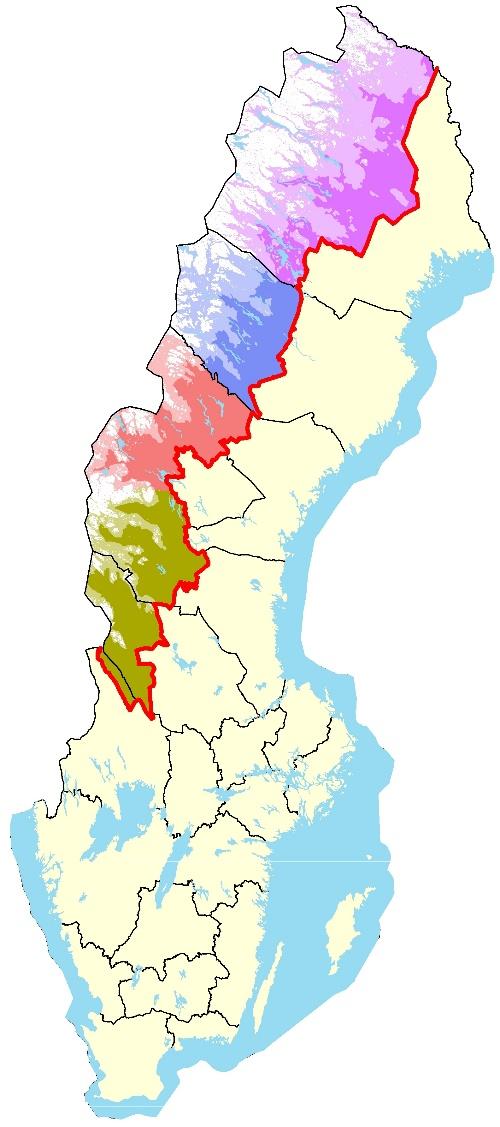 Här igen dominerar granskogen över stora områden, men klimatet är kärvare med lägre medeltemperaturer38 och markerna är i genomsnitt magrare än i norra Jämtland.