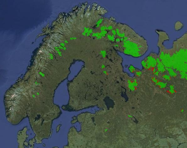 Figur 2. Intakta skogslandskap i nordvästra Europa (år 2013). Ljusgrönt: Intakta skogslandskap enligt Hansen m.fl. 59. Rött: Degradering av intakta skogslandskap under perioden 2000-2013.