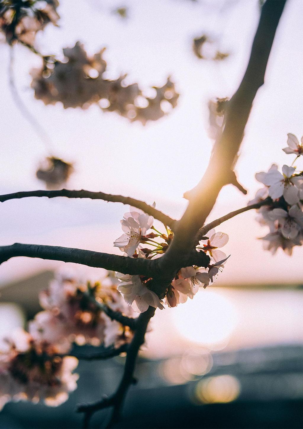 Foto: Peter Hershey, Unsplash Medlemstidning för