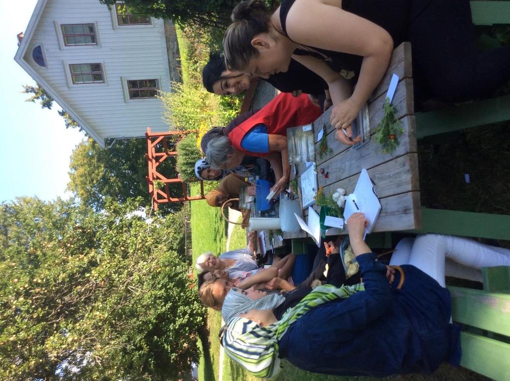 Åtgärd 1 Grönt klassrum med NNC Grupp måndag: Aktivitet i trädgård, odling och natur. Utomhus främst. Språkträning. Se deltagarna i ett resursperspektiv.
