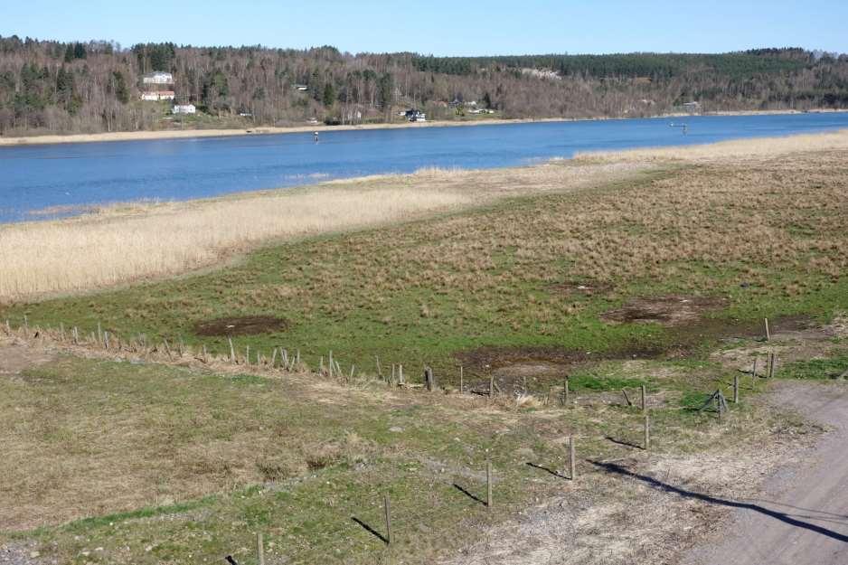 Äskekärr 2015 2017 Ale